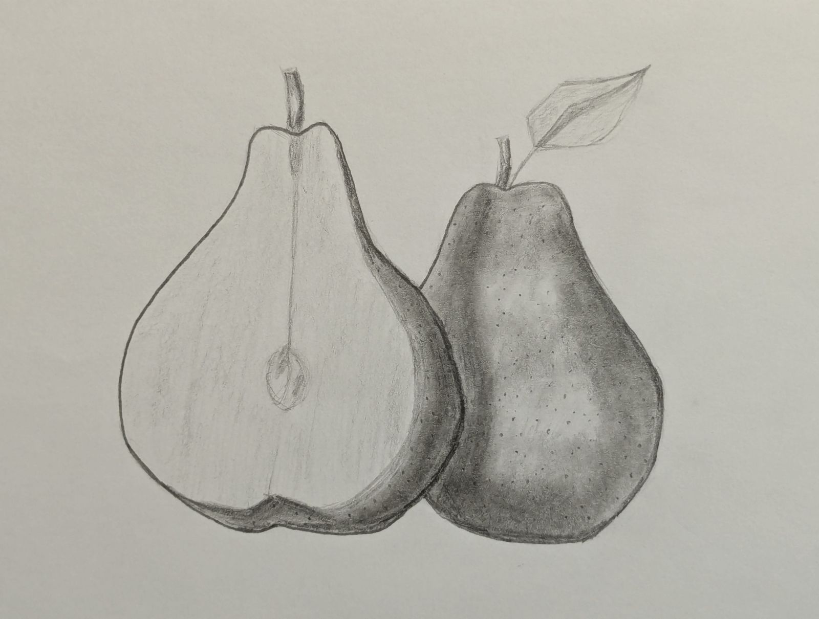 Pencil sketch of Pears fruit